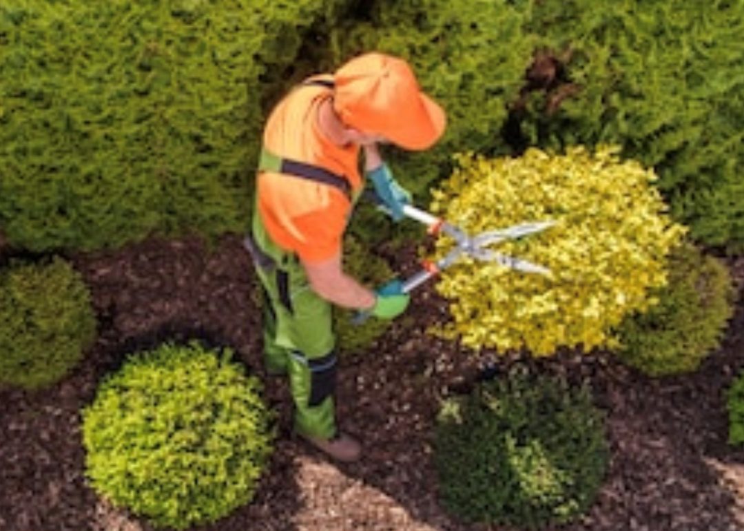 cropped-contractor-interface.jpg