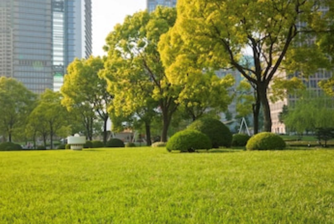 park