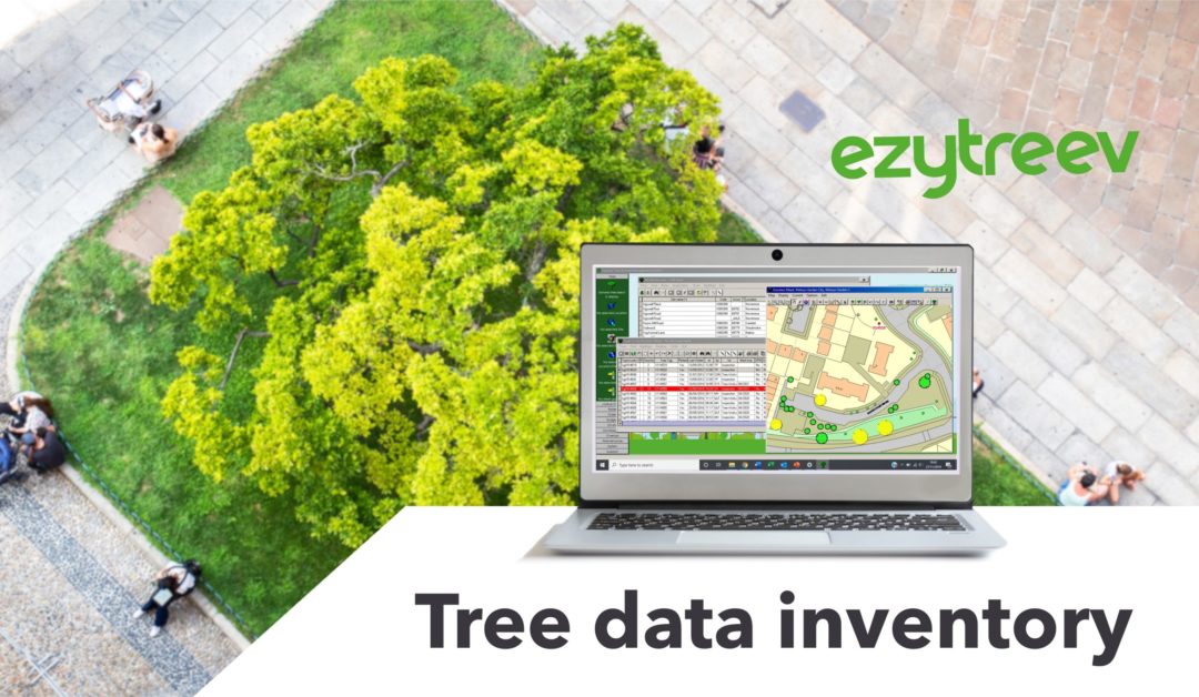 Tree data inventory